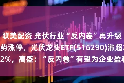 联美配资 光伏行业“反内卷”再升级！罗博特科强势涨停，光伏龙头ETF(516290)涨超2%，高盛：“反内卷”有望为企业盈利注入新的动力