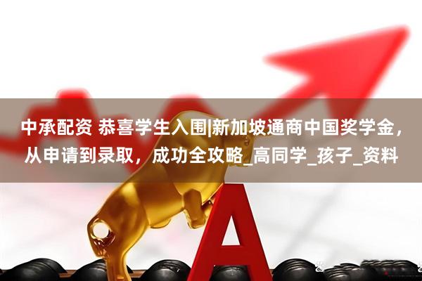 中承配资 恭喜学生入围|新加坡通商中国奖学金，从申请到录取，成功全攻略_高同学_孩子_资料