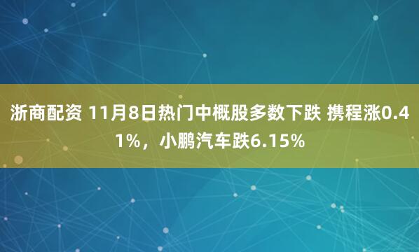 浙商配资 11月8日热门中概股多数下跌 携程涨0.41%，小鹏汽车跌6.15%